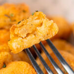 Croquetas de papa estilo tex-mex - Caja de 5 kg – Flow pack de 500 gr.