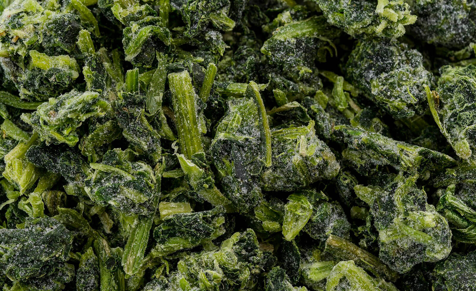 Espinaca seleccionada: Caja de 5 kg – Flow pack de 1 kg.